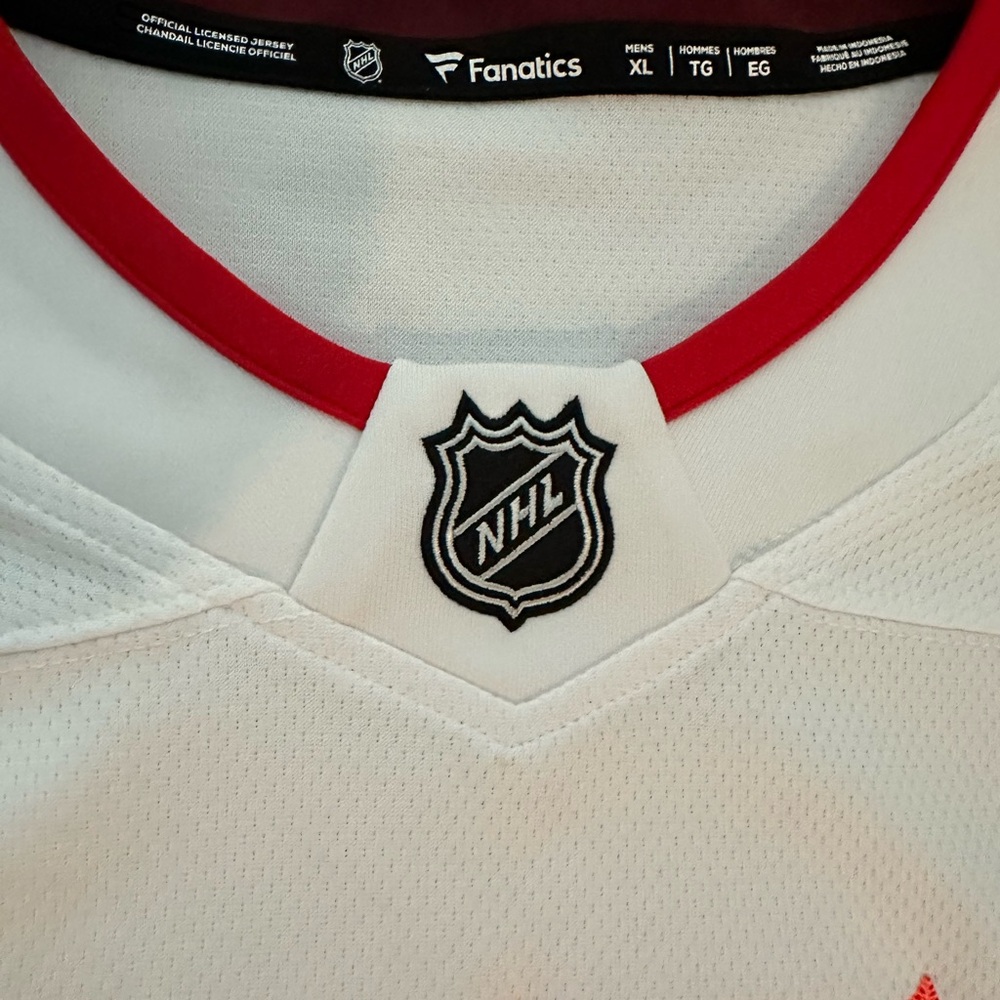 2022 NHL All Star Jersey - New Size XL (Blank) - Picture 2 of 4